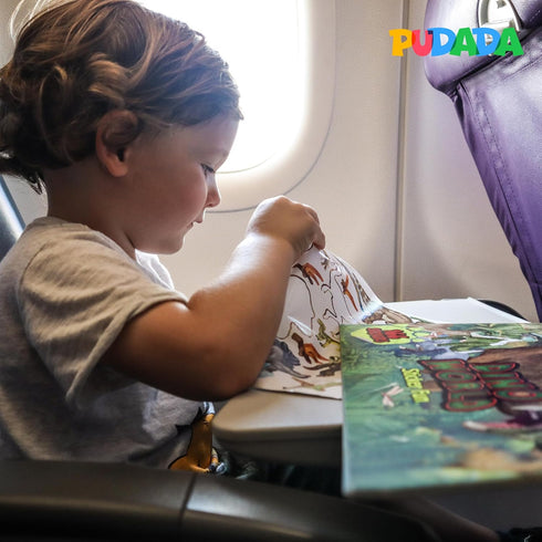 1-3, 2-3, 2-4, 80+ 3-5, Travel Toys for Toddlers Sticker Books for Kids Reusable Puffy Stickers, Farm, Vehicles, Safari