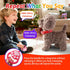 Marsjoy Set, Teddy Walking Barking Dog Toy Singing Puppy Repeat What You Say Teddy with Control Leash Electronic Dog