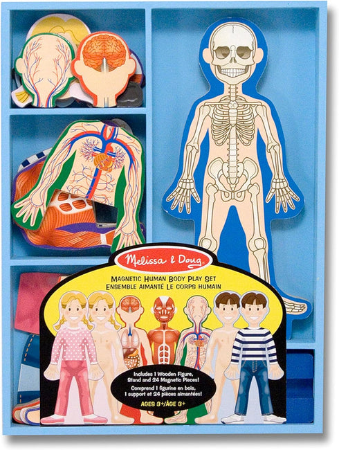 Melissa & Doug Magnetic Human Body Anatomy Play Set - 24 Magnetic Pieces with Storage Tray