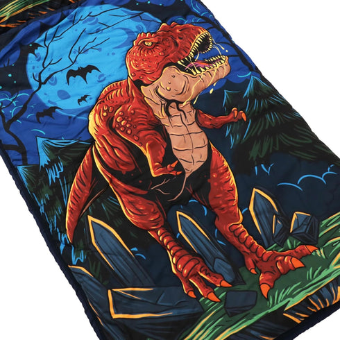 Kids Sleeping Bag, Dinosaur/Space Astronaut Slumber Bag with Removable Pillow for Boys and Girls