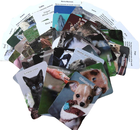 My Pet Elephant 3Pack Set 1960s Playing Cards for Seniors with Classic Cards, Reminiscence Cards & Animal Matching Game