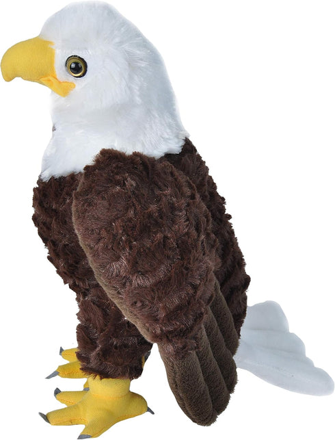 Wild Republic Cuddlekins Bald Eagle Plush Toy, 12 Inches Stuffed Animal Gifts for Kids