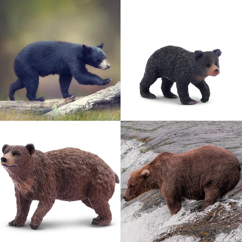 Toymany 6PCS Bear Figurines, Realistic Forest Animals Bear Family Toy Set for Kids