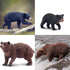Toymany 6PCS Bear Figurines, Realistic Forest Animals Bear Family Toy Set for Kids