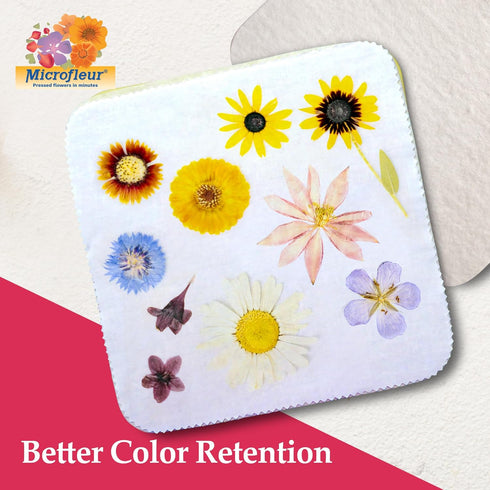 Microfleur Regular Microwave Flower Press Refill Pack, 5" (13 cm), Creative Pressing Accessory