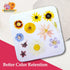 Microfleur Regular Microwave Flower Press Refill Pack, 5" (13 cm), Creative Pressing Accessory
