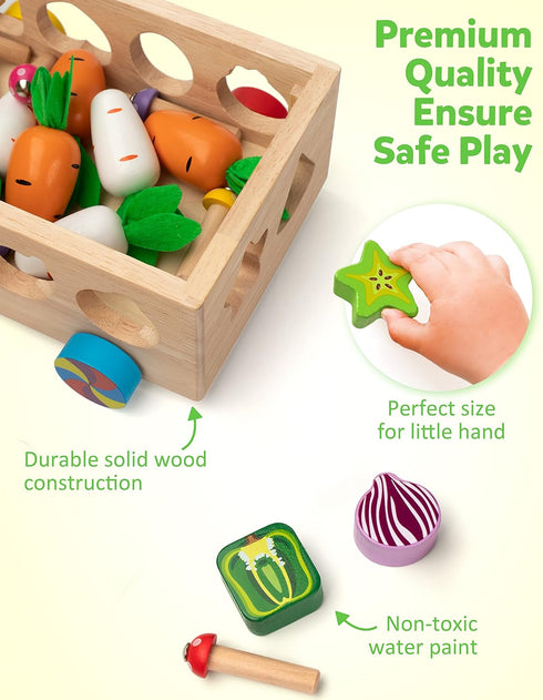 3 4 5 Coogam Montessori Fine Motor Toys for Baby Toddler, Wooden Shape Sorter Carrot Harvest Game for Easter Basket