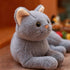 TUKVESZE 12 inch Gray Cat Plush Soft Plush Cat Toy, Realistic Black Cat Stuffed Animal Gifts for Boys and Girls (Gray)