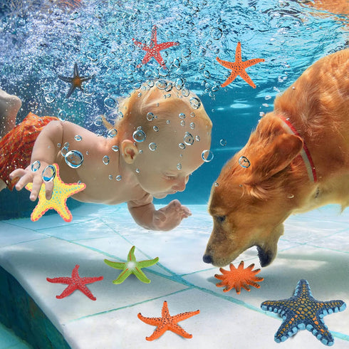 14 Set Summer Swimming Set, Swimming ZAUGONTW Pieces Diving Starfish Pool Toy, Colorful Starfish Diving Toys Starfishs