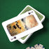 Underdog Games National Park Playing Cards, 52 Pieces of Stunning Custom Art for Unique Park Experience