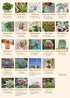 Vintage Succulent Puzzles for Adults - 1000 Pieces - Cactus Jigsaw Puzzle Featuring 23 Succulent Plants