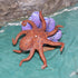 Gemini&Genius Octopus Toys for Kids - Realistic Octopus Figurine Toy - Under The Sea Life Figure Educational Gift and