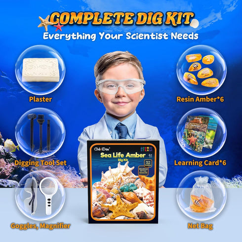 GobiDex Sea Life Amber Dig Kit, Educational STEM Activities for Kids Age 6-12, Dig Up 6 Real Shellfish