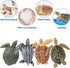 Toymany 6PCS Realistic Sea Turtle Figurines, Plastic Ocean Sea Animals Figures Set for Kids Birthday Gift