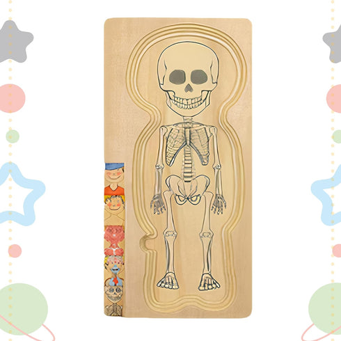 Kidzlane Boy Wooden My Body Puzzle, 29 Piece Boys Anatomy Puzzle for Kids Ages 3+