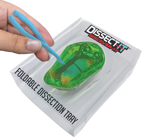 Dissect-It Discover-It Synthetic Butterfly Metamorphosis Lab STEM Toy for Young Scientists