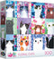 RoseArt - Planet Cat - Floral Cats - 300 Piece Jigsaw Puzzle