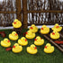 50-Piece Mini Rubber Duck Bath Toys - Float & Squeak Fun