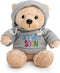 Ganz 9" Get Well Soon Teddy Bear - Gray Hoodie Feel Better Gift for Kids & Women