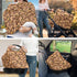 ZDCUSTOM Capybara Car Seat Cover for Baby Girl Elastic U Shaped Pillowcase Protector with Hidden Zipper Breastfeeding