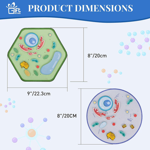Animal and Plant Cell Anatomy Model, Soft Felt Toy for Early Cell Biology