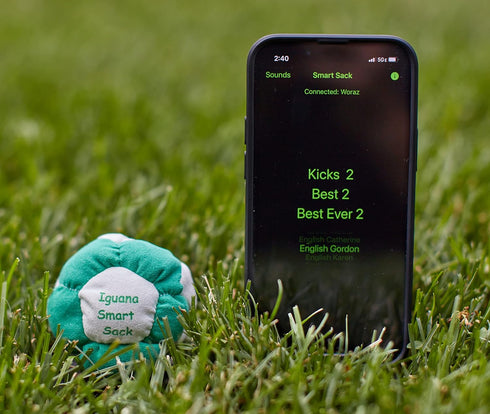 Bluetooth Hacky Sack, Tracks Your Score, App-Enabled