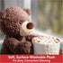 1 13.5 GUND Fuzzy Teddy Bear, Premium Stuffed Animal for Ages and Up, Gray