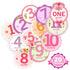 Baby Monthly Milestone Stickers for Girls, Floral Designs with Holiday Themes, First Year