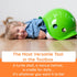 Bilibo by MOLUK - Mint Turtle Shell Toy for Creative Play