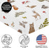 Sweet Jojo Designs Fitted Baby Crib Sheets (Woodland Animals) for Boys or Girls, Infant Nursery, Toddler Room