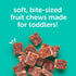 Pack 6 (72 Packs) Beech-Nut Toddler Snacks Fruti Bites with Hidden Veggies Quinoa & Chia, Fruit Snack Variety