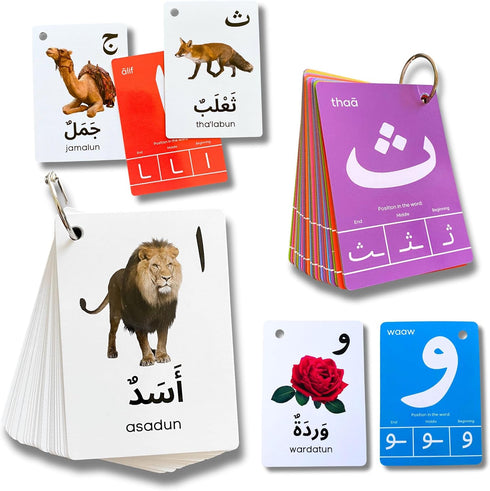 Albidaya Islamic Store Arabic Alphabet Flash Cards for Kids Toddler and Adults, Arabic First Words,