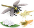 Gemini & Genius Life Cycle of Mosquito and Dragonfly Figurines, Insect Growth Diary Action Figures, Learning Gifts