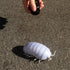 Pillbug Tipmant RC Bug Remote Control Worm Realistic Electronic Animal Prank Toy Insect Car Vehicle Kids Birthday Gifts