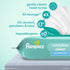 72 (1 Packs) Pampers Baby Wipes, Complete Clean Baby Fresh Scented Wipe, Gently Cleans Head to Toe, Total Flip-Top