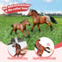 Horse Stable Playset, Horse Toys Set with Rider, Farm Animal Figurines for Kids 3-10, Christmas Birthday Gifts