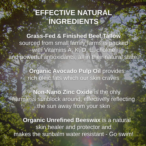 Zinc & Avocado Mineral SunBalm 30 SPF, Real Primal Sun Lotion, 100% Grass Fed Tallow, Avocado Oil, 4 Oz