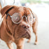 9 Pairs Doll Glasses - Metal Wire Rim Clear Lens Eyewear for 18 Inch Dolls & Mini Dolls Costume Accessories