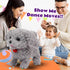 Cuteoy Walking Grey Dog Stuffed Animal, Talking Wagging Nodding Educational Plush Puppy Toy for Girls Boys