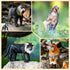 15PCS Set Toymany Monkey Primates Figurines, Plastic Jungle Animals Included Tree Monkey Ape Tree Chimpanzee Gorilla