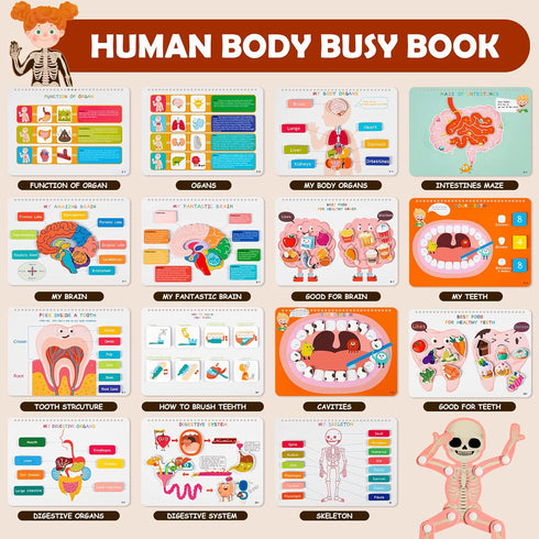 Freebear Montessori Busy Book for Kids, Human Body Anatomy Book for Toddlers, Preschool Learning Activities, Autism Toys