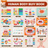 Freebear Montessori Busy Book for Kids, Human Body Anatomy Book for Toddlers, Preschool Learning Activities, Autism Toys