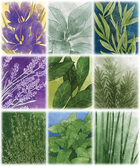 Pencil First Games Herbaceous Card Game – Flavorful Set Collection Game of Garden Herbs for 1-4 Players