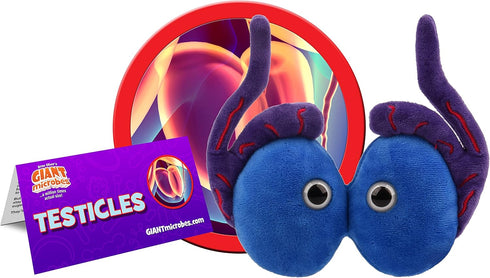 GIANT MICROBES Testicle Plush Toy, Testicular Cancer Awareness Gift, Urology Nursing, Gag Gift