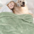 30x40 Inch, BORITAR Baby Blanket Elephant Animal for Boys Girls Ultra Soft Fleece Warm and Lightweight Blankets