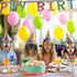 12 Pieces Dog Birthday Masks and Garland - Funny Paper Masks for Dog Theme Party Decoration