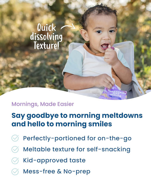 Fiber-Packed 12 Pack Amara Breakfast Oat Melts - Organic Toddler Snack - Single Serve Oat Bites with Real Fruit, No