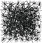 Fun Express - 144 Pieces Plastic Spiders for Halloween - Character Toys