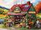 WSCXSC 300 Piece Jigsaw Puzzle for Adults Large Piece Shop Puzzle Recycled Cardboard