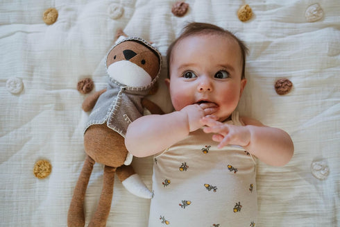 Crane Baby Toys for Boys and Girls, Comforting Plush Stuffed Animal, Frankie The Fox